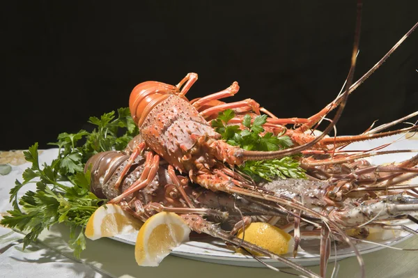 Lobster — Stock Photo, Image