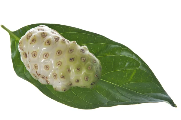 Morinda citrifolia ovoce — Stock fotografie