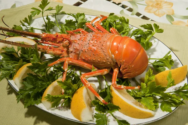 Homard — Photo