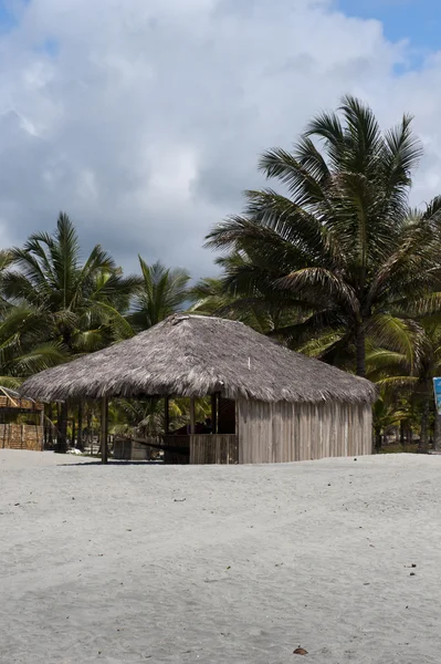 Bamboo hut — Stockfoto