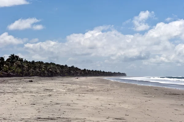 Spiaggia di Monpiche in Ecuador — Foto Stock