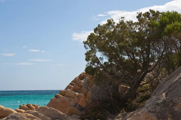 Bellissima costa della Sardegna — Foto Stock