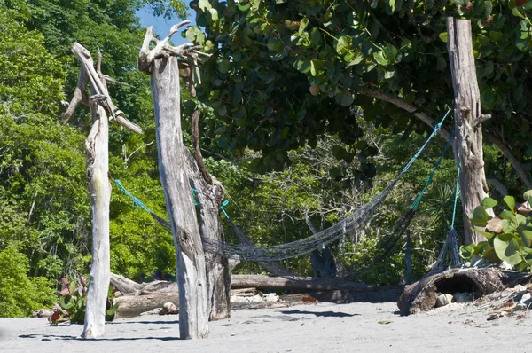 Hammock in a deserted beach — Stock Photo, Image