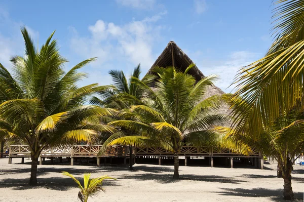 Grote bamboe hut — Stockfoto