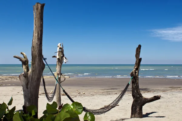 Hamak ıssız bir sahilde — Stok fotoğraf
