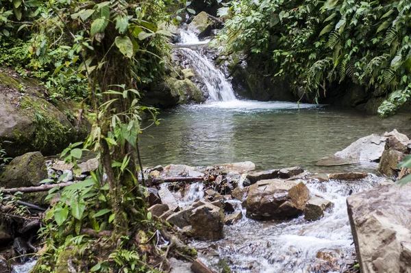 Cachoeira na floresta tropical do Equador — Fotografia de Stock