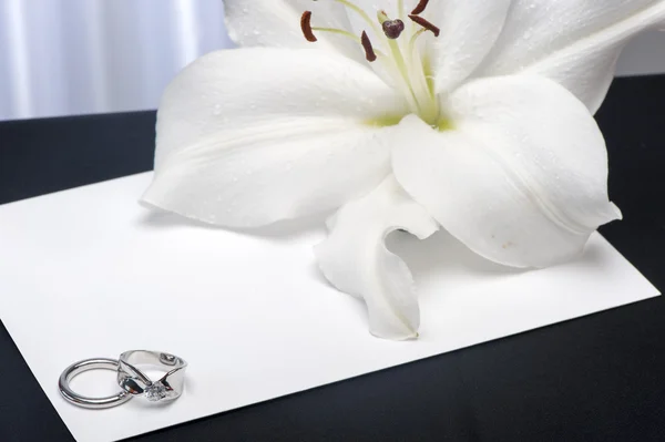 Lilium a snubní prsteny — Stock fotografie