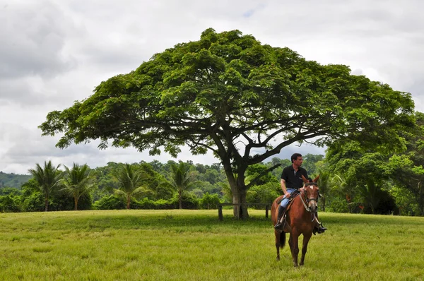 Un hombre a caballo —  Fotos de Stock