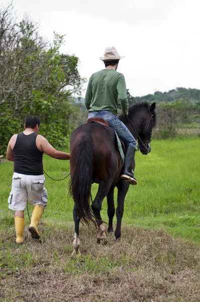 Horses and riders — Stock Photo, Image