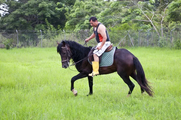 Cavalos e cavaleiros — Fotografia de Stock