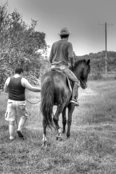 Hästar och ryttare — Stockfoto