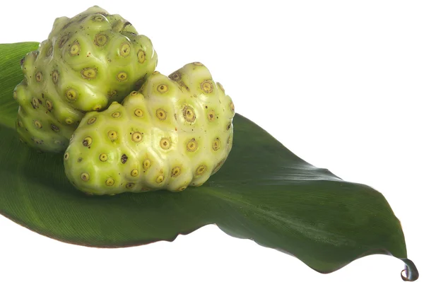 Noni fruit — Stock Photo, Image