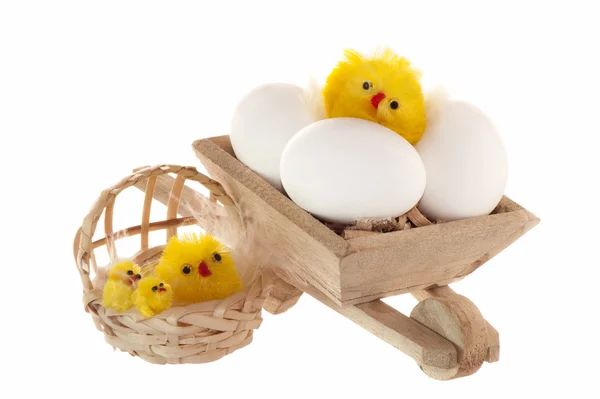 Easter eggs and chicken — Stock Photo, Image