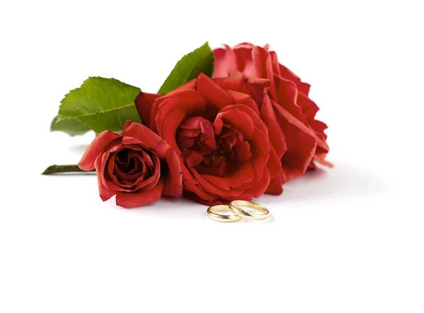 Свадебное кольцо и красная роза — стоковое фото