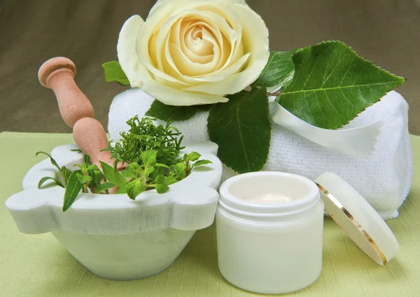 Natural para el cuidado del cuerpo — Foto de Stock