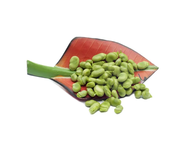 Beans — Stock Photo, Image