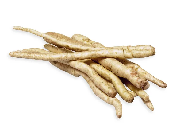 Bitter roots — Stock Photo, Image