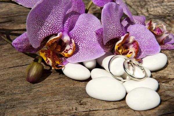 Обручки і орхідея — стокове фото
