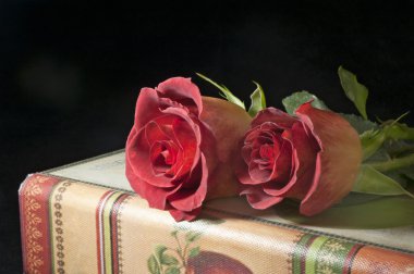 Kırmızı güller ve antika kitap