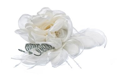 Beyaz arka plan üzerinde iyilik ayıklayacaktır