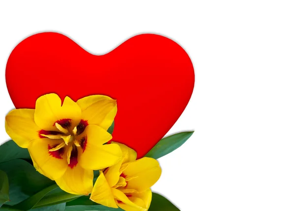 Красное сердце и желтый тюльпан — стоковое фото