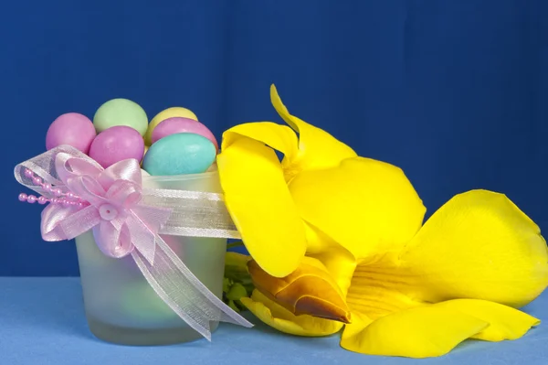Disposizione con fiori e scatole di caramelle — Foto Stock