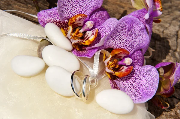 Orquídea y anillos de boda —  Fotos de Stock