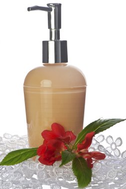 vücut temizlik ürünleri