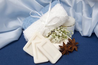 vücut bakımı için doğal