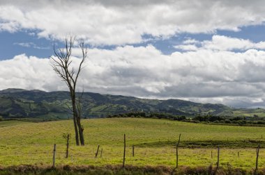 Tarım and Highlands