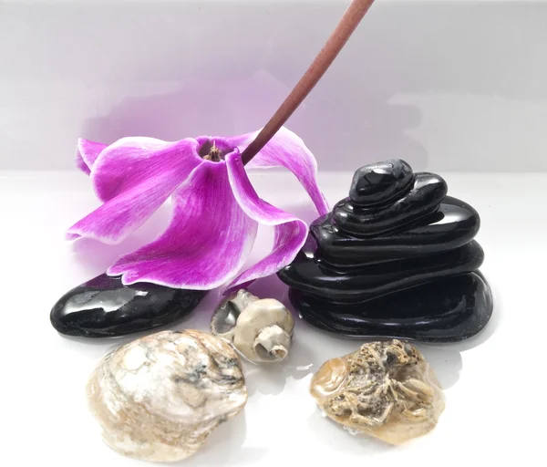 Pedras, conchas, flores e velas — Fotografia de Stock