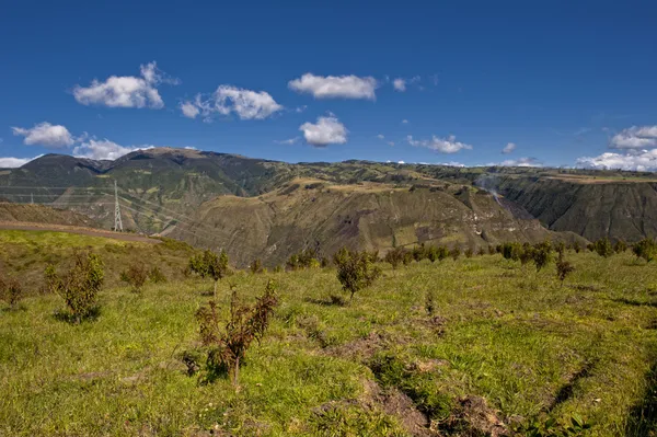 Agriculture in the Andean highlands — Stock Photo, Image