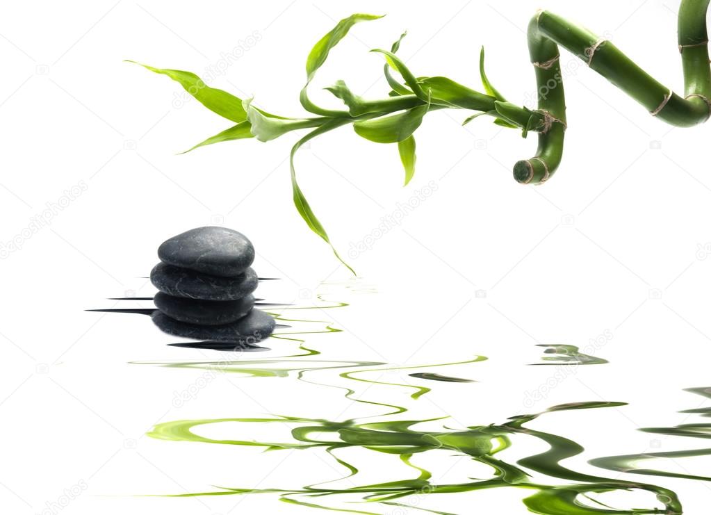 branches of bamboo and stones on water