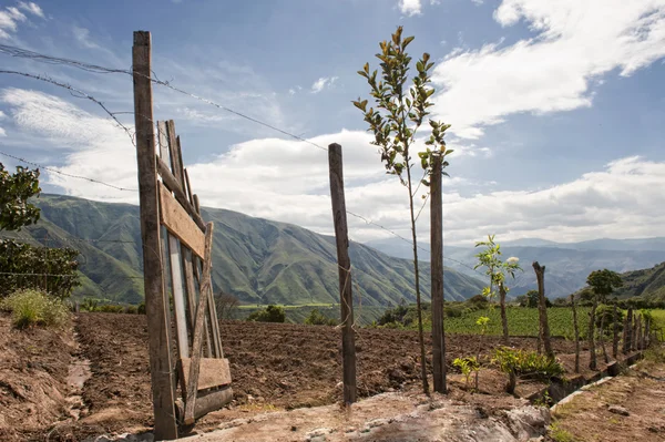 Cultivated fields in the Andes in Ecuador — Stock Photo, Image