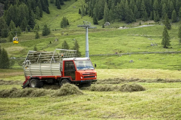 The crop of hay fodder — Stock Photo, Image