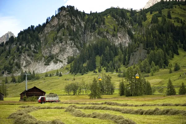 The crop of hay fodder — Stock Photo, Image