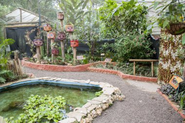 ekolojik bir vaha kelebekler