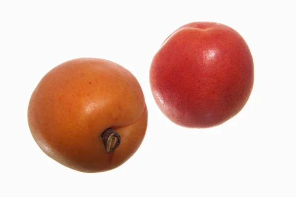 Apricots isolated — Stock Photo, Image