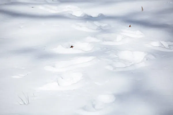 Rastreamentos Humanos Que Atravessam Terreno Coberto Neve Criando Vários Caminhos — Fotografia de Stock