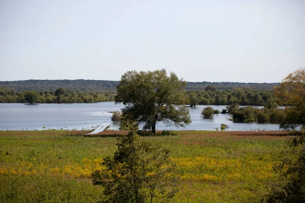 Jezioro Między Łąką Lasem Drzew — Zdjęcie stockowe