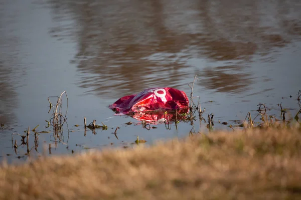 Deflated red mylar balloon floating near the water's edge