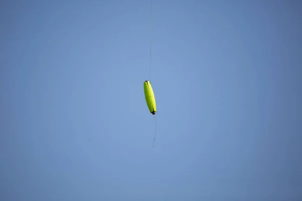 Bright Green Bobber Hung Tree — Stockfoto