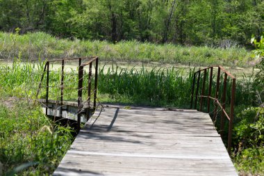 Black Bayou Gölü Ulusal Yaban Hayatı Rehberi, Monroe, LOUISIANA / USA - 7 Nisan 2017: Black Bayou Gölü Ulusal Vahşi Yaşam Sığınağı Tahta Geçidi.