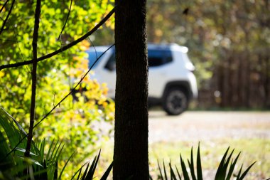 TEXASLOUISIANA BORDER, I20, TEXASUSA AĞOS 15 AĞUSTOS 2019: Texas 'ın dışındaki Teksas / Louisiana sınırındaki Ziyaretçi Merkezi' nin önündeki granit kesit 20..