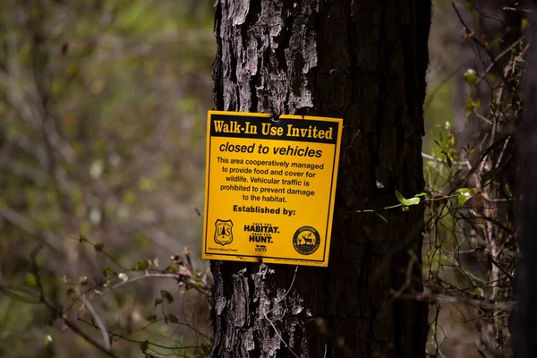 Área Corney Lake Recreation Caney Ranger District Kisatchie National Forest — Fotografia de Stock