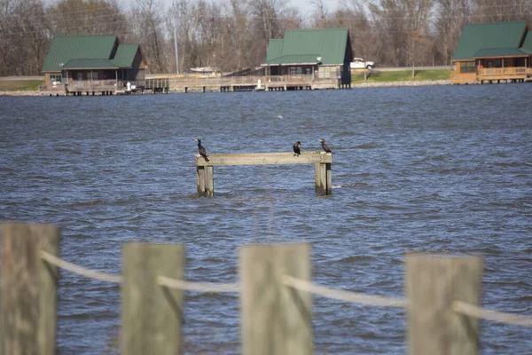 Poverty Point Reservoir State Park Delhi Louisiana Usa March 2020 Ліцензійні Стокові Зображення