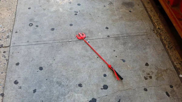 Small Stick Harpoon End Lying Sidewalk — Stock Photo, Image