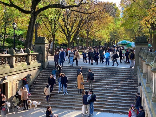 New York New York Abd Şubat 2022 Bethesda Terrace Mall — Stok fotoğraf