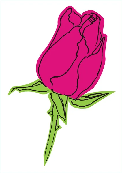 Orginal handdraw vector red rosebud — Stock Vector
