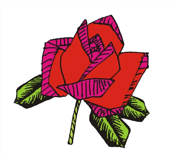 Векторні handdraw квіти — стоковий вектор